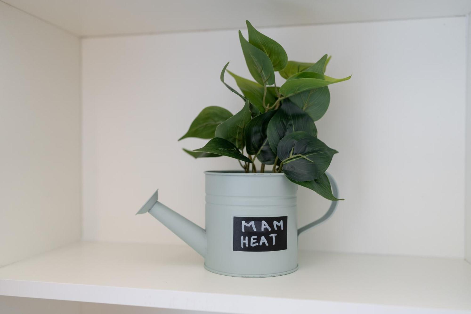 Mam Heat Apartments - Viana City Centre Viana do Castelo Exteriér fotografie